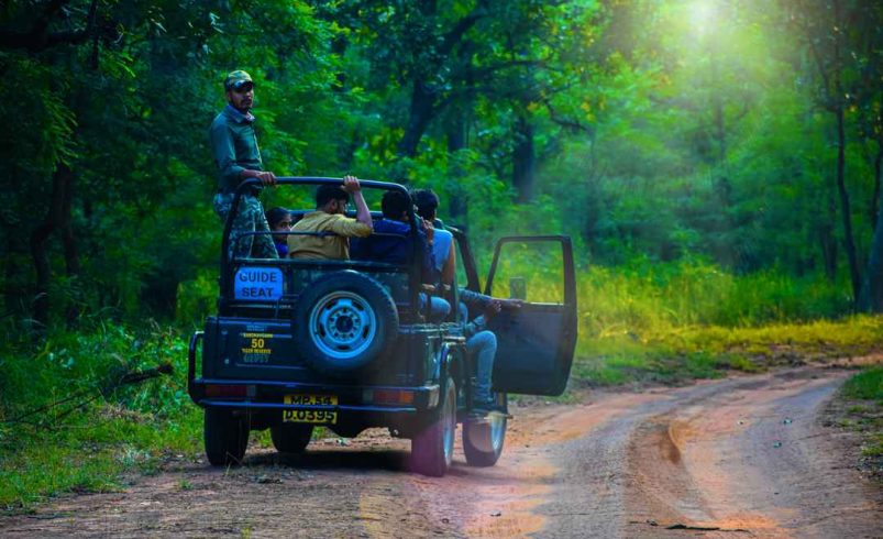Tourists enjoying a jeep jungle safari with guide in the forests of Madhya Pradesh