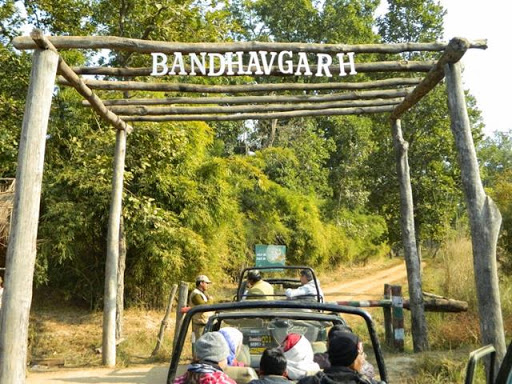 Tourists enjoying a Canter Safari at the entrance of Bandhavgarh National Park, Madhya Pradesh, India surrounded by lush greenery.