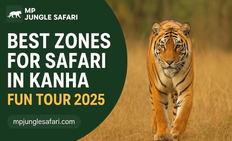 "Royal Bengal tiger walking in Kanha National Park – Best Safari Zones in Kanha Fun Tour 2025"
