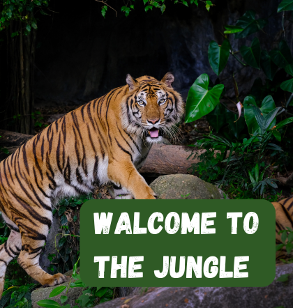 A Bengal tiger standing on rocks in a lush green jungle with text 'Welcome to the Jungle