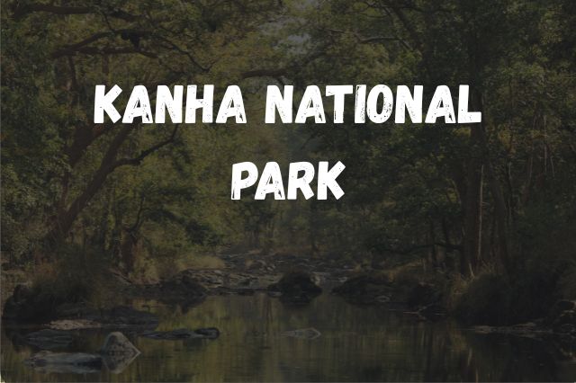 कान्हा नेशनल पार्क – भारत का प्रमुख टाइगर रिजर्व और जंगल सफारी डेस्टिनेशन